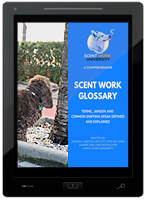 A Comprehensive Scent Work Glossary E-Book